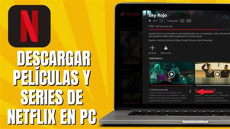 descargar peliculas de netflix por mega